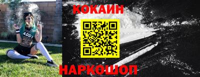 крисы Кунгур