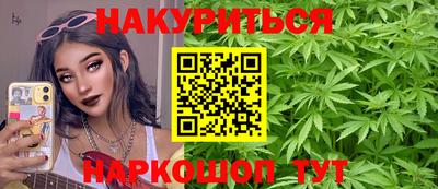 крисы Кунгур